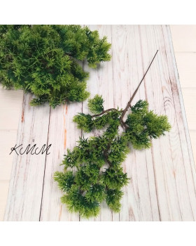 Ялівець світло-зелений декоративний 30 насадок - 1шт.