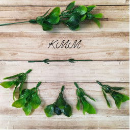 Лист фактурний Мандарин декоративний  (букет, гілка) - гілка-foto2