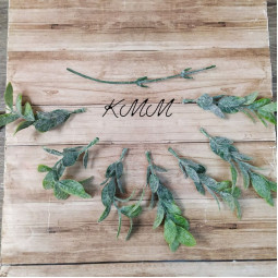 Лист фактурний з напиленням декоративний (букет, гілка) - гілка-foto2