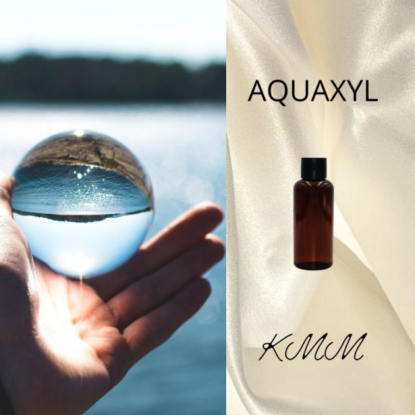 Aquaxyl (Акваксил) увлажняющий комплекс - 5г