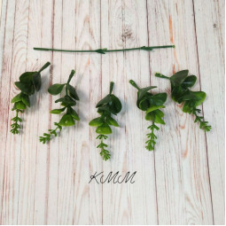 Евкаліпт квітучий темно-зелений декоративний - гілка-foto2