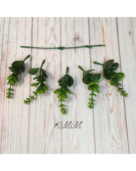 Евкаліпт квітучий темно-зелений декоративний - гілка-foto2