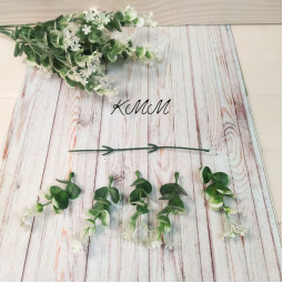 Евкаліпт із гіпсофілою декоративний - Білий, гілка-foto2