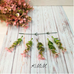 Евкаліпт із гіпсофілою декоративний - Пудровий, гілка-foto2