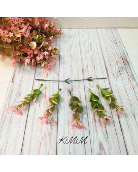 Евкаліпт із гіпсофілою декоративний - Пудровий, гілка-foto2