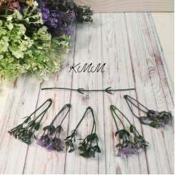 Гіпсофіла 1 в асортименті - Бузковий, гілка-foto4