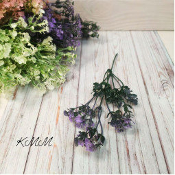 Гіпсофіла 1 в асортименті - Бузковий, гілка-foto2