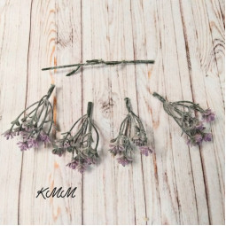 Гипсофила Пудровая декоративная - ветка-foto2