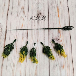 Шишки хмеля желто-зеленые - ветка-foto2