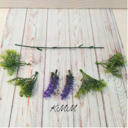 Лаванда зубчаста декоративна - гілка-foto2