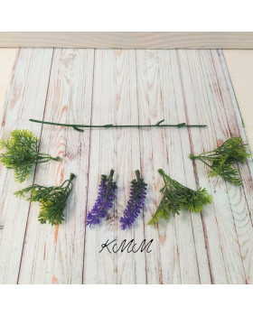 Лаванда зубчаста декоративна - гілка-foto2