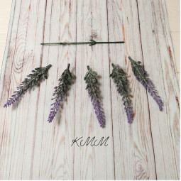 Лаванда класична з напиленням - гілка-foto2