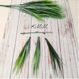 Осока декоративна світло-зелена Преміум - гілка-foto2