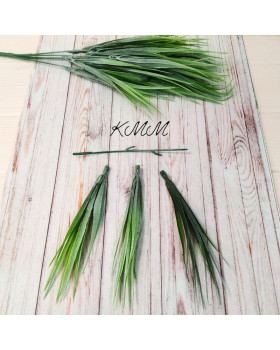 Осока декоративна світло-зелена Преміум - гілка-foto2