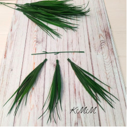 Осока декоративна темно-зелена Преміум - гілка-foto2