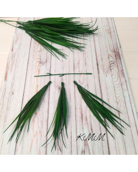 Осока декоративна темно-зелена Преміум - гілка-foto2
