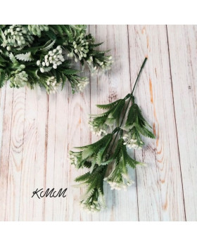 Ягода із зубчастим листом Біла - гілка