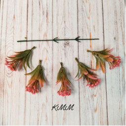 Ягода с зубчатым листом Желтая - ветка-foto2