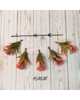 Ягода із зубчастим листом Жовта - гілка-foto2