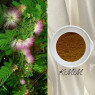 Экстракт тепецкоуита (Mimosa tenuiflora) Франция 5г