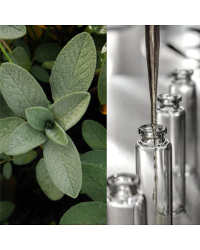 Гидролат шалфея - 50 г