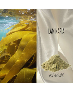 Пудра ламинарии Laminaria PhytMic 50 - 10г