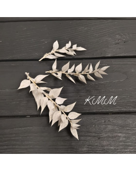 Рускус белый стабилизированный сухоцвет -3 шт