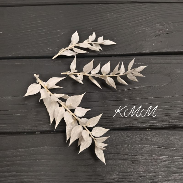 Рускус белый стабилизированный сухоцвет -3 шт