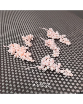 Суданка Ніжно-рожева стабілізована сухоцвіт (5 г)