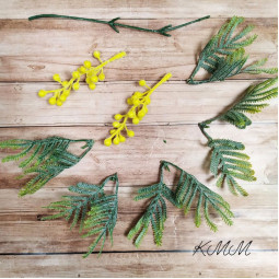  Мімоза декоративна Преміум - гілка-foto2