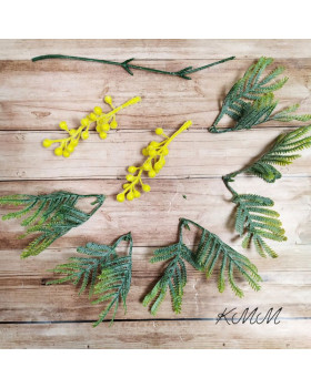  Мімоза декоративна Преміум - гілка-foto2