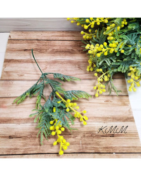  Мімоза декоративна Преміум - гілка